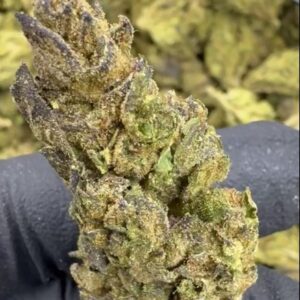 Sour Diesel Strain THCA Entry Vex