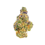Gary Payton Strain THCA Flower [Exotic] High