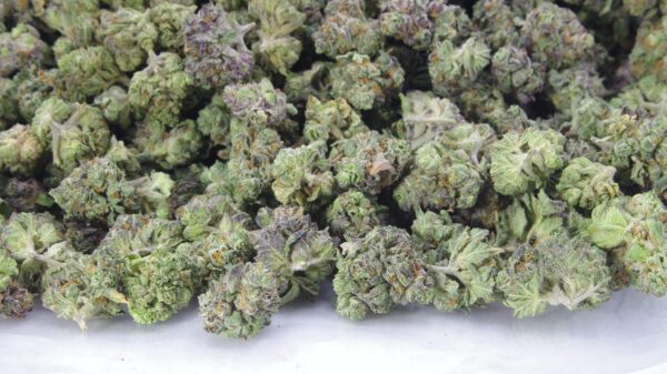 THCA Smalls Bulk