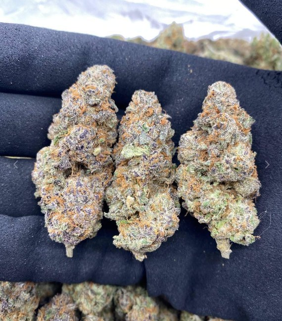 Best THCA flower online