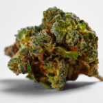 Green Crack THCA Strain