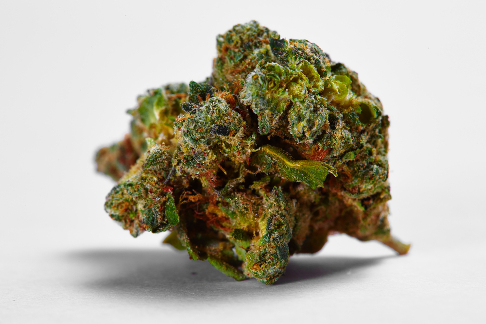 Green Crack THCA Strain