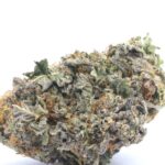 Northern Lights Strain THCA Flower | Exotic