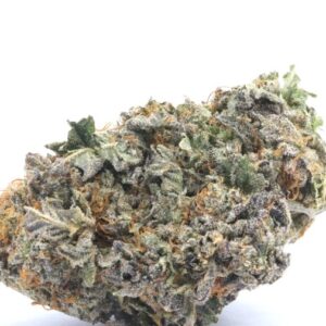 Northern Lights Strain