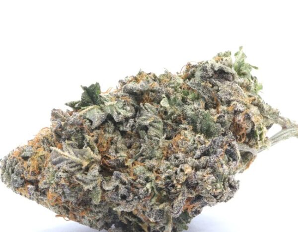 Northern Lights Strain