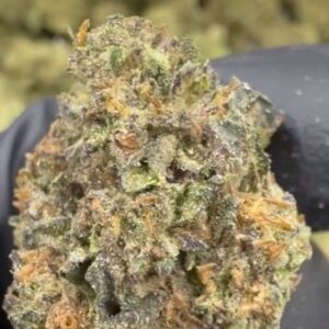 Cereal Milk THCA Strain