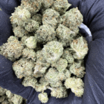 Blue Berry Muffins Strain THCA Indoor Smalls [Exotic]