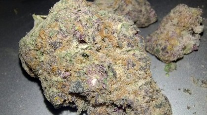 2025 Ultimate THCA Flower Guide | Thca4cheap.com