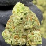 Hindu Kush Strain THCA Smalls $500 a Pound!