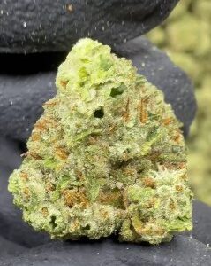 Hindu Kush Strain Smalls Strain $500 A Pound