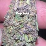 Pop Tart Strain THCA Flower Vex [High]