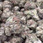 Gorilla Glue Strains Smalls $550 A Pound! [Standard]