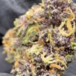 Tropicana Cherries Strain Mediums $799 a Pound!