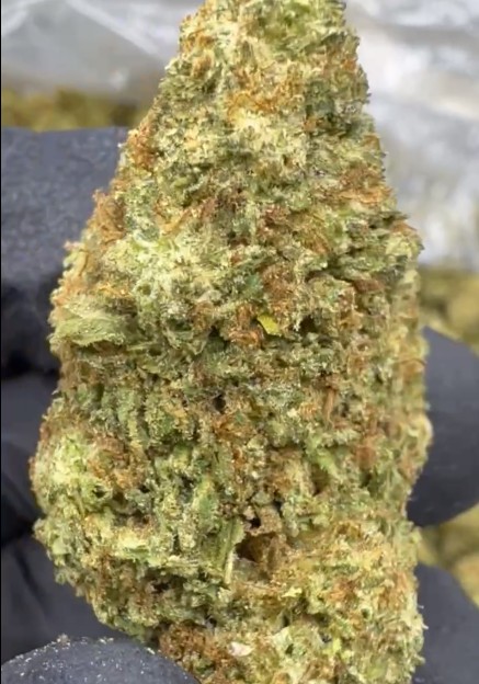 Strawberry Cough THCA Strain