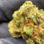 NEW! Caps Frozen Lemon Strain [Smalls]