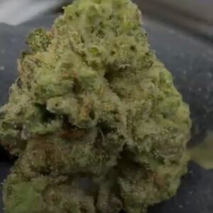 Hash Burger Strain THCA Smalls