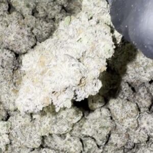 Gluttony Strain THCA Flower