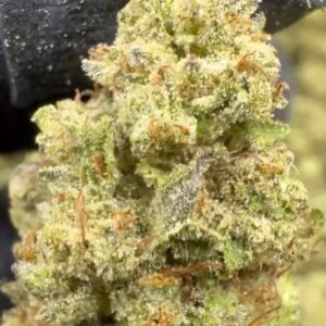 Grape and Cream Strain THCA Vex Entry
