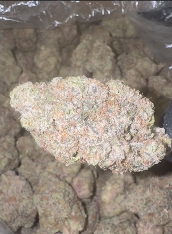 KKoala Strain Thca Flower