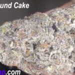 New! Insane Pound Cake Strain | Premium THCA Flower at Thca4Cheap