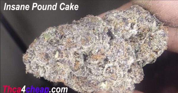 Insane Pound Cake Budtender Review