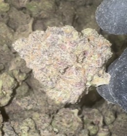 Sunset_Sherbert_Strain_THCA_Smalls