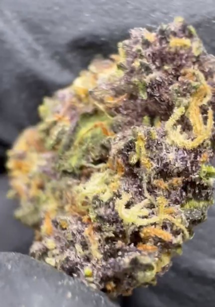 Tropicana Cookies THCA Flower Ounce