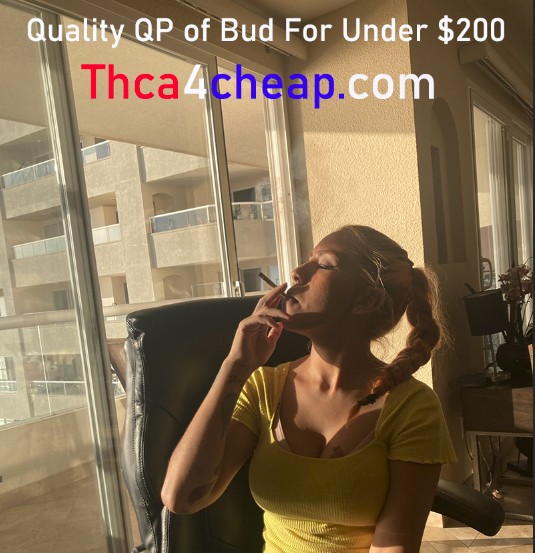 Shop Affordable THCA Products at Thca4cheap.com with Fast Shipping

