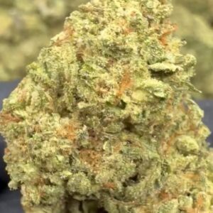 Zkittlez Strain THCA Flower buds with vibrant green and orange hues